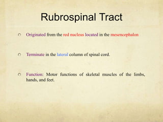Rubrospinal Tract
Originated from the red nucleus located in the mesencephalon
Terminate in the lateral column of spinal cord.
Function: Motor functions of skeletal muscles of the limbs,
hands, and feet.
 