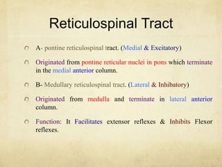 Reticulospinal Tract
A- pontine reticulospinal tract. (Medial & Excitatory)
Originated from pontine reticular nuclei in pons which terminate
in the medial anterior column.
B- Medullary reticulospinal tract. (Lateral & Inhibatory)
Originated from medulla and terminate in lateral anterior
column.
Function: It Facilitates extensor reflexes & Inhibits Flexor
reflexes.
 
