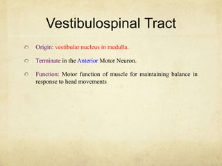 Vestibulospinal Tract
Origin: vestibular nucleus in medulla.
Terminate in the Anterior Motor Neuron.
Function: Motor function of muscle for maintaining balance in
response to head movements
 
