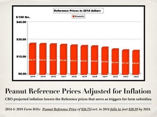 2014 & 2018 Farm Bills: Peanut Reference Price of $26.75/cwt. in 2014 falls to just $20.59 by 2024.
Peanut Reference Prices Adjusted for Inflation
CBO projected inflation lowers the Reference prices that serve as triggers for farm subsidies.
 
