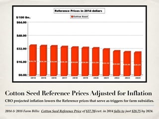 2014 & 2018 Farm Bills: Cotton Seed Reference Price of $37.70/cwt. in 2014 falls to just $28.75 by 2024.
Cotton Seed Reference Prices Adjusted for Inflation
CBO projected inflation lowers the Reference prices that serve as triggers for farm subsidies.
 