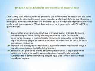 Bosques y suelos saludables para garantizar el acceso al agua
Entre 2000 y 2010, México perdió en promedio 195 mil hectáreas de bosque por año como
consecuencia del cambio de uso del suelo, incendios y tala ilegal. Ocho de sus 13 regiones
hidrológico administrativas tienen una extracción de 40% o más de la disponibilidad natural
media anual, lo que coloca a 77% de los mexicanos y a la generación del 87% del PIB en
graves riesgos.
 Instrumentar un programa nacional que promueva buenas prácticas de manejo
del territorio para frenar la degradación y erosión del suelo, fortalecer la
gobernanza, impulsar el manejo forestal comunitario sustentable y evitar la tala
ilegal, incendios y plagas, en beneficio de todos los mexicanos, en particular de las
comunidades indígenas.
 Impulsar una estrategia para revitalizar la economía forestal mediante el apoyo al
manejo comunitario sustentable de los bosques.
 Establecer una gestión del ahorro del agua que sustituya a la actual gestión del
déficit, que limite la extracción, reduzca la sobreexplotación, disminuya la
vulnerabilidad al cambio climático y asegure agua y los servicios ecosistémicos
que el país requiere.
 