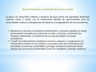 Aprovechamiento sustentable de mares y costas
La pesca, los desarrollos urbanos y turísticos de gran escala mal planeados deterioran
nuestros mares y costas, con la consecuente pérdida de oportunidades para las
comunidades costeras, la desaparición de especies y la degradación de los ecosistemas.
 Restaurar los recursos y ecosistemas deteriorados, y conservar aquellos en riesgo,
promoviendo mercados que maximicen su valor y servicios, y minimicen los
impactos ambientales, con derechos de uso que privilegien el manejo
ecosistémico.
 Cumplir los ordenamientos ecológicos marinos y asegurar su congruencia con
instrumentos similares en los estados y municipios, para dar certidumbre a las
actividades económicas sustentables y proteger ecosistemas particularmente
valiosos por sus servicios ambientales (como los manglares y arrecifes coralinos).
 