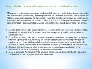 Responsabilidad de la sociedad ante su interacción con la biodiversidad
México es el quinto país con mayor biodiversidad, pero las crecientes amenazas derivadas
del crecimiento poblacional, sobreexplotación de recursos naturales, destrucción de
hábitats, especies invasoras, contaminación y cambio climático amenazan su existencia. La
aplicación de instrumentos de política pública y acción social de que disponemos mitigará
estas amenazas y conservará los servicios ambientales que esta biodiversidad nos brinda.
 México debe cumplir con sus compromisos internacionales en materia de biodiversidad,
bioseguridad, desertificación y áreas naturales protegidas, y rendir cuentas públicas
periódicamente.
 Consolidar las áreas naturales protegidas, que deberán contar con programa de manejo,
personal y presupuesto suficiente y un consejo asesor que garantice la participación
efectiva de las comunidades en la toma de decisiones, e impulsar la consolidación de
sistemas estatales, municipales e instrumentos privados y comunitarios de conservación.
 Retribuir económicamente a los propietarios de los predios que participan en la
conservación de los ecosistemas y sus servicios ambientales.
 Crear la Comisión Nacional de Vida Silvestre como órgano desconcentrado y asignarle
los recursos humanos y presupuestales necesarios.
 