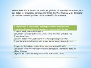 México está aún a tiempo de poner en práctica las medidas necesarias para
que todos los proyectos, particularmente los de infraestructura y los del sector
productivo, sean compatibles con la protección del ambiente.
El Gobierno de la República ha optado por sumarse a los esfuerzos
internacionales suscribiendo importantes acuerdos, entre los que
Convenio sobre Diversidad Biológica.
Convención Marco de las Naciones Unidas sobre el Cambio Climático y su
Protocolo de Kyoto.
Convenio de Estocolmo, sobre contaminantes orgánicos persistentes.
Protocolo de Montreal, relativo a las sustancias que agotan la capa de ozono.
Convención de Naciones Unidas de Lucha contra la Desertificación.
Convención sobre el Comercio Internacional de Especies Amenazadas de Fauna
y Flora Silvestres.
Objetivos del Milenio de la Organización de las Naciones Unidas.
 