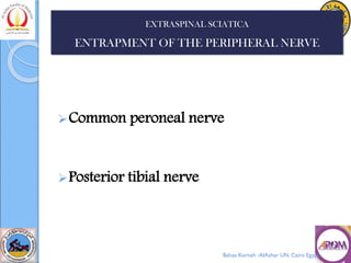 ➢Common peroneal nerve
➢Posterior tibial nerve
EXTRASPINAL SCIATICA
ENTRAPMENT OF THE PERIPHERAL NERVE
Bahaa Kornah -AlAzhar UN. Cairo Egypt
 