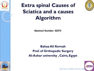 Bahaa Ali Kornah
Prof. of Orthopedic Surgery
Al-Azhar university , Cairo, Egypt
Bahaa Kornah -AlAzhar UN. Cairo Egypt
Abstract Number: 52575
 