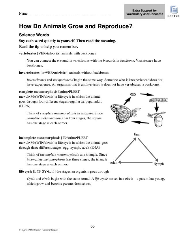 Houghton mifflin company math worksheets answers