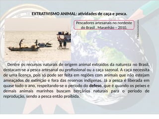 Extrativismo no Brasil - Animal, vegetal e mineral | PPTX
