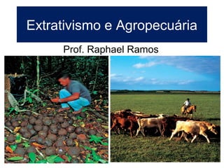 Extrativismo e Agropecuária
Prof. Raphael Ramos
 