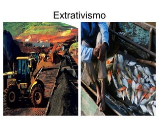 Extrativismo
 