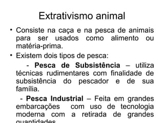 Extrativismo animal
• Consiste na caça e na pesca de animais
para ser usados como alimento ou
matéria-prima.
• Existem dois tipos de pesca:
- Pesca de Subsistência – utiliza
técnicas rudimentares com finalidade de
subsistência do pescador e de sua
família.
- Pesca Industrial – Feita em grandes
embarcações com uso de tecnologia
moderna com a retirada de grandes
 