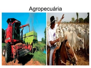 Agropecuária
 