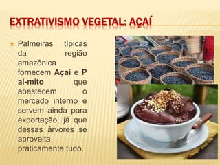 EXTRATIVISMO VEGETAL: AÇAÍ
 Palmeiras típicas
da região
amazônica
fornecem Açaí e P
al-mito que
abastecem o
mercado interno e
servem ainda para
exportação, já que
dessas árvores se
aproveita
praticamente tudo.
 