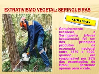 EXTRATIVISMO VEGETAL: SERINGUEIRAS
 Genuinamente
brasileira, a
Seringueira (Hevea
brasiliensis) foi um
dos principais
produtos da
economia nacional
entre 1870 e 1920,
quando era
responsável por 25%
das exportações do
Brasil, perdendo
apenas para o café.
 