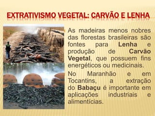 EXTRATIVISMO VEGETAL: CARVÃO E LENHA
 As madeiras menos nobres
das florestas brasileiras são
fontes para Lenha e
produção de Carvão
Vegetal, que possuem fins
energéticos ou medicinais.
 No Maranhão e em
Tocantins, a extração
do Babaçu é importante em
aplicações industriais e
alimentícias.
 