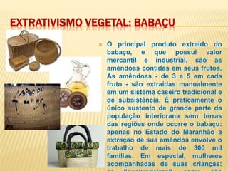 EXTRATIVISMO VEGETAL: BABAÇU
 O principal produto extraído do
babaçu, e que possui valor
mercantil e industrial, são as
amêndoas contidas em seus frutos.
As amêndoas - de 3 a 5 em cada
fruto - são extraídas manualmente
em um sistema caseiro tradicional e
de subsistência. É praticamente o
único sustento de grande parte da
população interiorana sem terras
das regiões onde ocorre o babaçu:
apenas no Estado do Maranhão a
extração de sua amêndoa envolve o
trabalho de mais de 300 mil
famílias. Em especial, mulheres
acompanhadas de suas crianças:
 