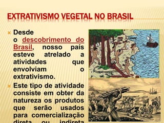 EXTRATIVISMO VEGETAL NO BRASIL
 Desde
o descobrimento do
Brasil, nosso país
esteve atrelado a
atividades que
envolviam o
extrativismo.
 Este tipo de atividade
consiste em obter da
natureza os produtos
que serão usados
para comercialização
 
