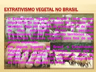 EXTRATIVISMO VEGETAL NO BRASIL
 O Extrativismo Vegetal no Brasil é bem menos
importante do que as atividades de pecuária, por
exemplo. Seja em valores de produção ou de mão
de obra empregada. Porém a pecuária
irresponsável acaba desmatando territórios com
importantes recursos vegetais para fins de sua
própria expansão.
 Em alguns lugares do Brasil, o Extrativismo
Vegetal ainda possuem destaque, sendo que a
madeira é o produto mais explorado. Além da
madeira, há outros vários produtos integrantes
do Extrativismo Vegetal no Brasil.
 