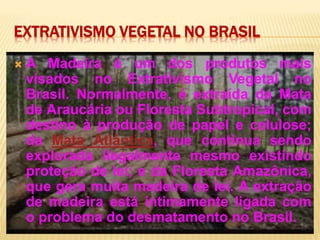 EXTRATIVISMO VEGETAL NO BRASIL
 A Madeira é um dos produtos mais
visados no Extrativismo Vegetal no
Brasil. Normalmente, é extraída da Mata
de Araucária ou Floresta Subtropical, com
destino à produção de papel e celulose;
da Mata Atlântica, que continua sendo
explorada ilegalmente mesmo existindo
proteção de lei; e da Floresta Amazônica,
que gera muita madeira de lei. A extração
de madeira está intimamente ligada com
o problema do desmatamento no Brasil.
 