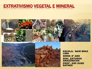 EXTRATIVISMO VEGETAL E MINERAL
ESCOLA: NAIR BRAZ
LIMA
SÉRIE: 8º ANO
DISC. ESTUDOS
AMAZÔNICOS
PROFª. ESP. EUDE
RATHES
 