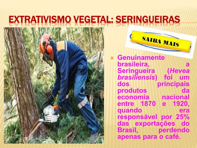 Extrativismo vegetal e mineral | PPT