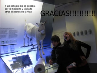 GRACIAS!!!!!!!!!!! Y un consejo: no os perdáis por la medicina y la plaza otros aspectos de la vida 