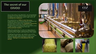 Extra virgin olive oil | PDF