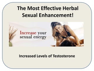 The Most Effective Herbal
Sexual Enhancement!
Increased Levels of Testosterone
 