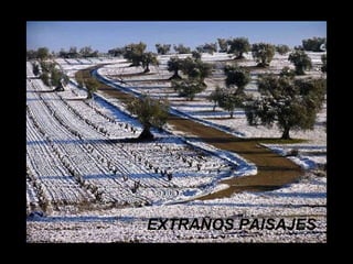 EXTRAÑOS PAISAJES 