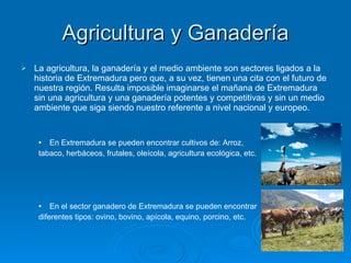 Agricultura y Ganadería La agricultura, la ganadería y el medio ambiente son sectores ligados a la historia de Extremadura pero que, a su vez, tienen una cita con el futuro de nuestra región. Resulta imposible imaginarse el mañana de Extremadura sin una agricultura y una ganadería potentes y competitivas y sin un medio ambiente que siga siendo nuestro referente a nivel nacional y europeo.   En Extremadura se pueden encontrar cultivos de: Arroz,  tabaco, herbáceos, frutales, oleícola, agricultura ecológica, etc. En el sector ganadero de Extremadura se pueden encontrar  diferentes tipos: ovino, bovino, apícola, equino, porcino, etc. 