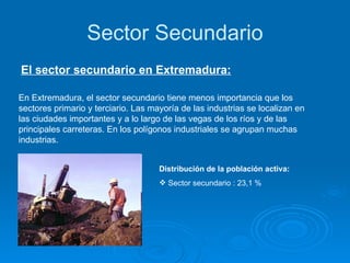 Sector Secundario El sector secundario en Extremadura: En Extremadura, el sector secundario tiene menos importancia que los sectores primario y terciario. Las mayoría de las industrias se localizan en las ciudades importantes y a lo largo de las vegas de los ríos y de las principales carreteras. En los polígonos industriales se agrupan muchas industrias.  Distribución de la población activa: Sector secundario : 23,1 % 