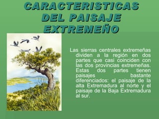 CARACTERISTICAS DEL PAISAJE EXTREMEÑO Las sierras centrales extremeñas dividen a la región en dos partes que casi coinciden con las dos provincias extremeñas. Estas dos partes tienen paisajes bastante diferenciados: el paisaje de la alta Extremadura al norte y el paisaje de la Baja Extremadura al sur.  