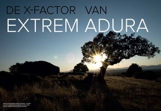 De x-factor van
    Extrem adura


Dorpen in Extremadura komen plotseling. Je waant
je in een eeuwigdurend geelgekleurd niets en dan
ineens, voorbij een bocht, ligt daar een dorp.
   2 GRANDE                                        GRANDE 3
 