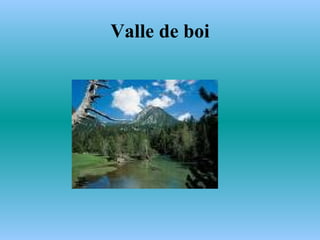 Valle de boi 
