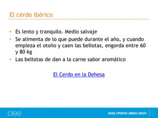 El cerdo ibérico
• Es lento y tranquilo. Medio salvaje
• Se alimenta de lo que puede durante el año, y cuando
empieza el otoño y caen las bellotas, engorda entre 60
y 80 kg
• Las bellotas de dan a la carne sabor aromático
El Cerdo en la Dehesa

 