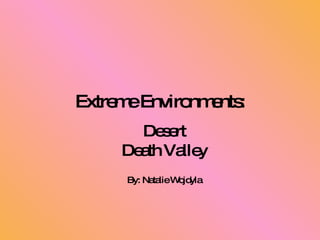 Extreme Environments: Desert Death Valley By: Natalie Wojdyla 