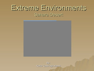 Extreme Environments Sahara Desert By: Katie Castrogiovanni 