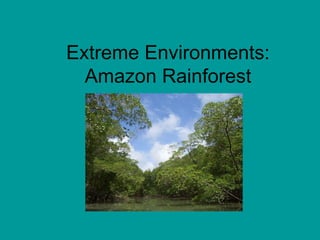 Extreme Environments: Amazon Rainforest 