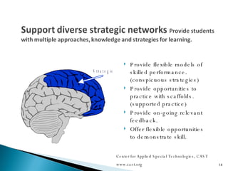 Provide flexible models of skilled performance. (conspicuous strategies) Provide opportunities to practice with scaffolds. (supported practice) Provide on-going relevant feedback. Offer flexible opportunities to demonstrate skill. Center for Applied Special Technologies, CAST www.cast.org 