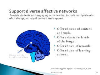 Offer choices of content and tools. Offer adjustable levels of challenge. Offer choice of rewards Offer choice of learning context. Center for Applied Special Technologies, CAST www.cast.org 