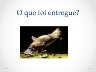 O  que  foi  entregue?	
 