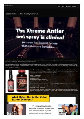 XTREM E ANTLER

L

A

T

E

Home

S

Blog

Testimonials

Contact Us

T

Xtreme Antler – Does it really works???

Do you want that tonned and ripped muscular look? Do you need an improved body then you ever have? if you’re ready to develop muscle then we have do anything for you.
Now it is time to get up early in the morning and to do workouts regularly.
Forty % of the population wants to get muscles and create their human anatomy however they aren’t sure how. Xtreme Antler is what anybody needs if they need certainly to
simply take their human anatomy to another phase. Have you been trying to remove those unwanted pounds and develop the body? With Xtreme Antler you’ll reduce the extra
fat and develop those muscles.
Xtreme Antler is really a natural source of IGF-1, a growth factor hormone each and every day the body produces.
This hormone is responsible for expansion spurts in muscle, bones and tissues. Naturally somewhat extra in a safe
supplement form can help the body recover from workouts faster.
Xtreme Antler also contains compounds the human body need for overall wellness and tissue repair.
Speedup muscle recovery
Super charge your libido
Build away tenacious fat
Raise mental concentration and memory
Increased endurance (While in the gym & Bedroom)
Well-thought out and thorough studies seem to demonstrate that Xtreme Antler may also provide anti-aging
properties by reducing symptoms of senility, which may be related to its hormonal effects.
Improving the Defense Mechanisms
Xtreme Antler is just a secure and normal therapy for boosting the immune system,by improving the production of
white blood cells (lymphocytes). The escalation in numbers serves to increase immune function. The Xtreme Antler
has been successful in improving the defense mechanisms.

 