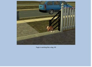 Pugie is working like a dog. XD
 