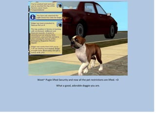Woot~ Pugie lifted Security and now all the pet restrictions are lifted. =D
What a good, adorable doggie you are.
 