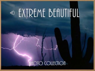 EXTREME BEAUTIFUL PHOTO COLLECTION 