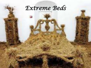 Extreme Beds

 