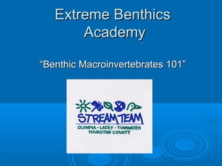 Extreme BenthicsExtreme Benthics
AcademyAcademy
““Benthic Macroinvertebrates 101”Benthic Macroinvertebrates 101”
 
