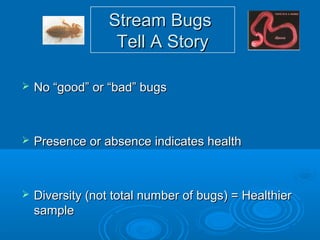 Stream BugsStream Bugs
Tell A StoryTell A Story
 No “good” or “bad” bugsNo “good” or “bad” bugs
 Presence or absence indicates healthPresence or absence indicates health
 Diversity (not total number of bugs) = HealthierDiversity (not total number of bugs) = Healthier
samplesample
 