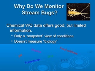 Why Do We MonitorWhy Do We Monitor
Stream Bugs?Stream Bugs?
Chemical WQ data offers good, but limitedChemical WQ data offers good, but limited
information.information.

Only a “snapshot” view of conditionsOnly a “snapshot” view of conditions

Doesn’t measure “biology”Doesn’t measure “biology”
Nitrates
pH D.O.
Fecal coliform
Temperature T.S.S
 